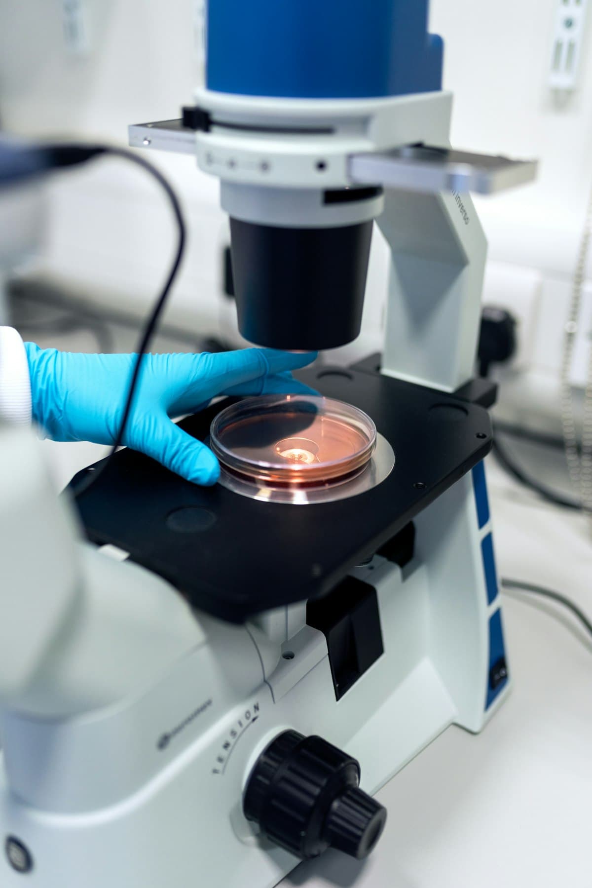 R&D at Pharco